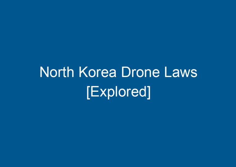 North Korea Drone Laws [Explored] 3
