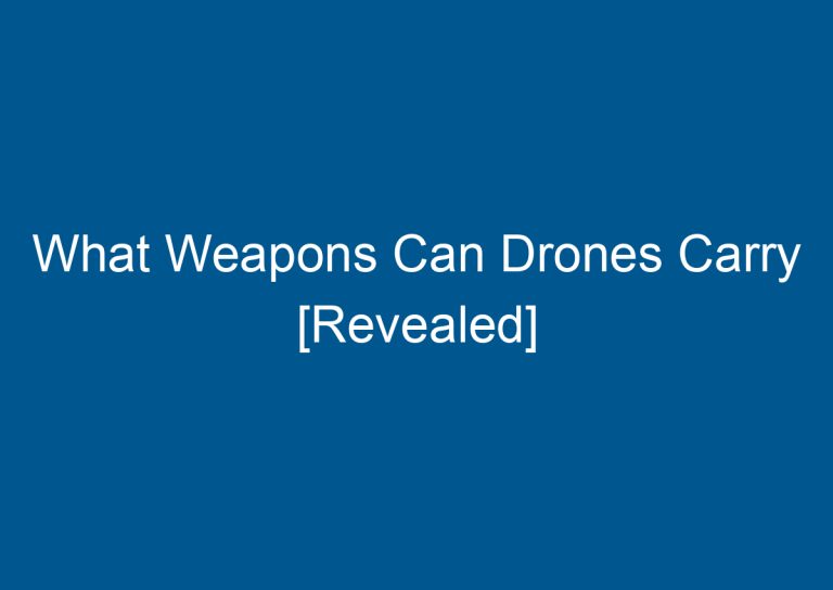What Weapons Can Drones Carry [Revealed] 2