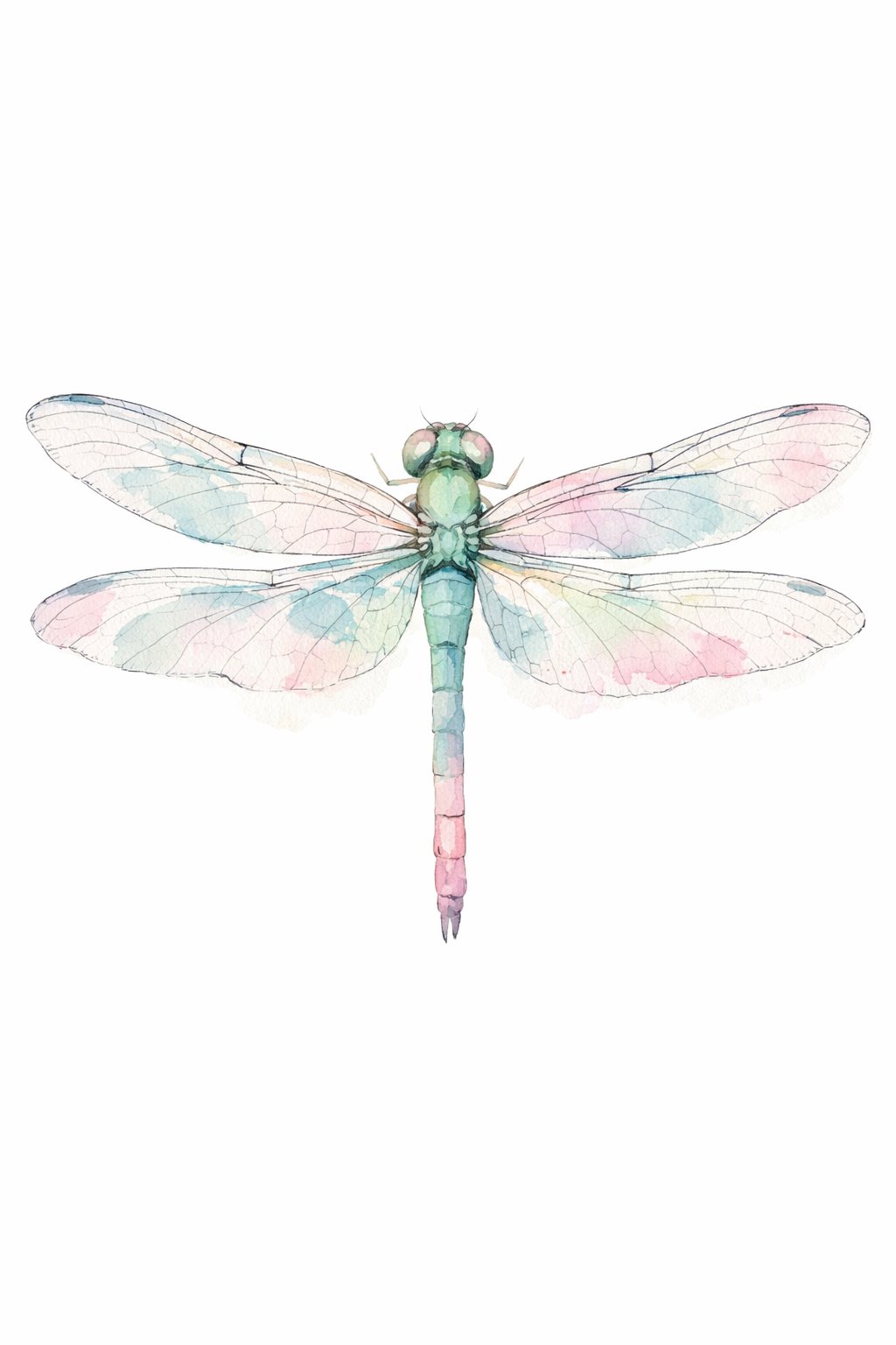 A single dragonfly with translucent wings resting on a white background.
